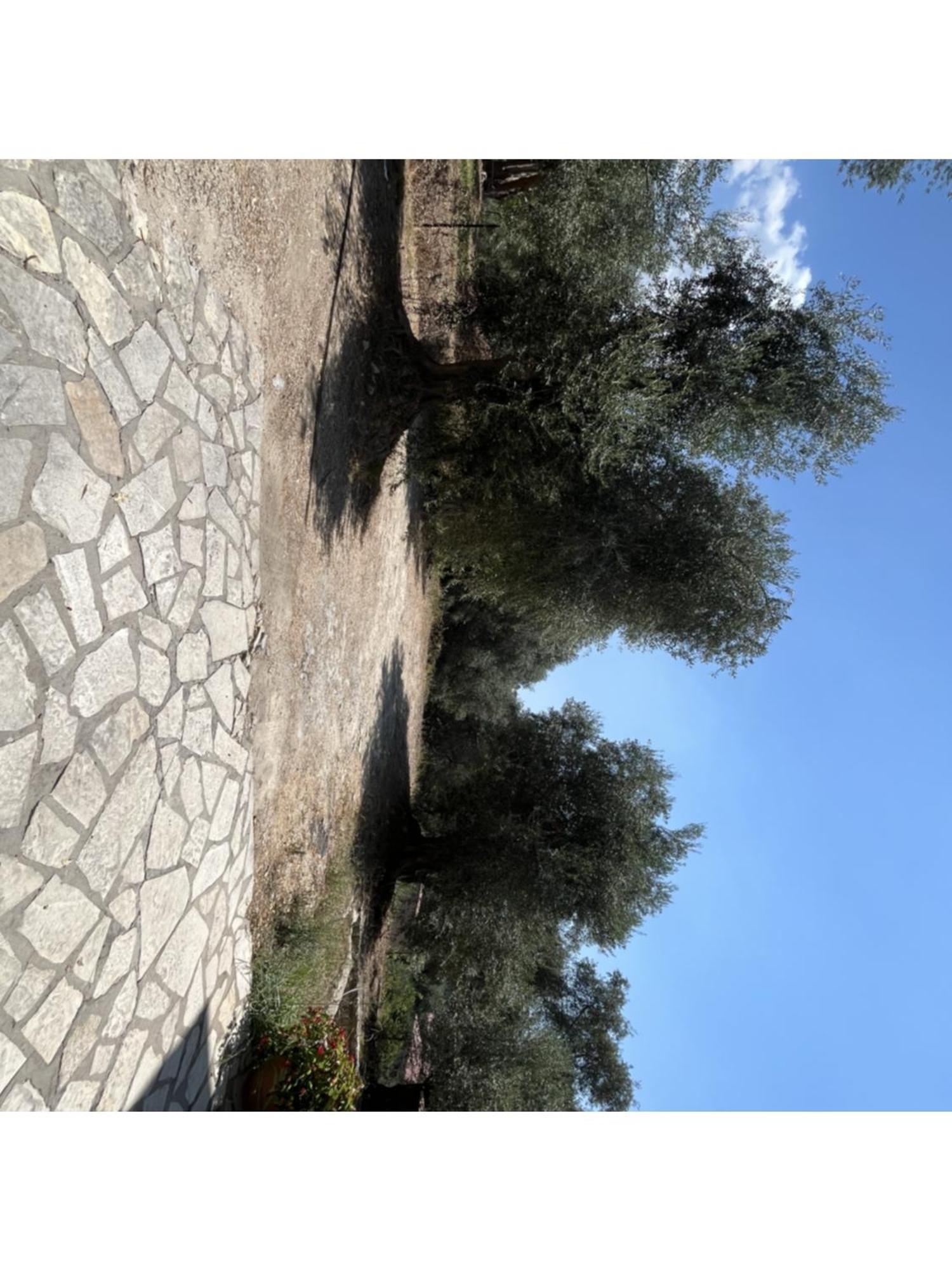 Meltemi Apartment Parga Exterior photo